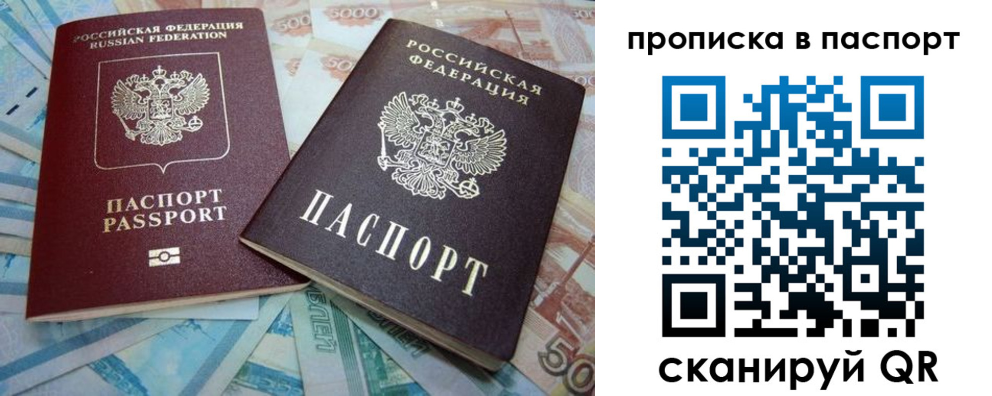 прописка поиск в Новозыбкове